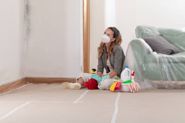 Reliable Basement Mold Remediation contractor in Falcon, NC by WQB Mold Removal
